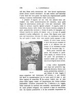 giornale/CFI0440535/1919-1920/unico/00000262