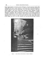 giornale/CFI0440916/1916-1918/unico/00000196