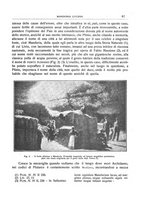 giornale/CFI0440916/1916-1918/unico/00000197