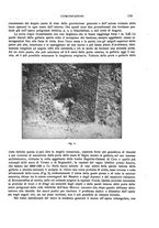 giornale/CFI0440916/1923/unico/00000125