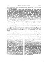 giornale/CFI0440916/1924-1925/unico/00000256