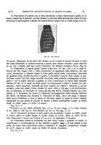 giornale/CFI0440916/1926/unico/00000229