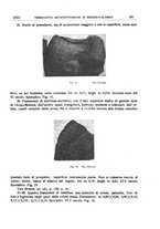 giornale/CFI0440916/1926/unico/00000233