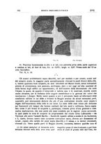 giornale/CFI0440916/1926/unico/00000234