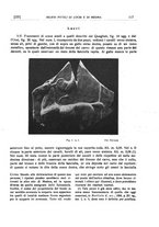 giornale/CFI0440916/1926/unico/00000249