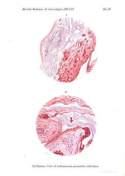 Rivista italiana di ginecologia pubblicazione bimestrale