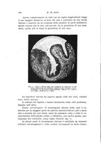 giornale/CFI0440930/1924-1925/unico/00000434