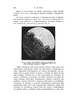 giornale/CFI0440930/1924-1925/unico/00000438