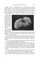 giornale/CFI0440930/1924-1925/unico/00000479