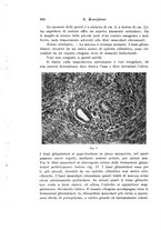 giornale/CFI0440930/1924-1925/unico/00000582