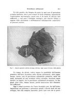 giornale/CFI0440930/1924-1925/unico/00000653