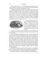 giornale/CFI0440930/1925-1926/unico/00000036