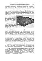 giornale/CFI0440930/1925-1926/unico/00000335