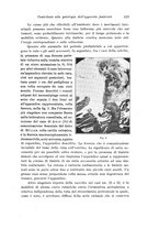 giornale/CFI0440930/1925-1926/unico/00000337