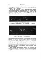 giornale/CFI0440930/1928/unico/00000096