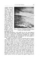 giornale/CFI0440930/1928/unico/00000717