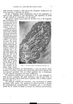 giornale/CFI0440930/1929/v.1/00000011