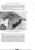 giornale/CFI0440930/1929/v.1/00000021