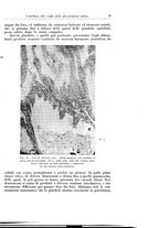 giornale/CFI0440930/1929/v.1/00000025