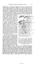 giornale/CFI0440930/1929/v.1/00000029