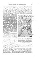giornale/CFI0440930/1929/v.1/00000031