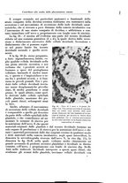 giornale/CFI0440930/1929/v.1/00000039