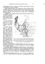 giornale/CFI0440930/1929/v.1/00000041