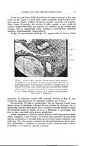 giornale/CFI0440930/1929/v.1/00000043