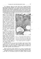 giornale/CFI0440930/1929/v.1/00000045