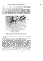 giornale/CFI0440930/1929/v.1/00000051
