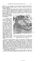 giornale/CFI0440930/1929/v.1/00000057