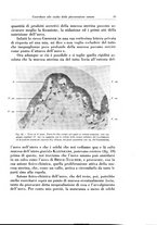 giornale/CFI0440930/1929/v.1/00000061