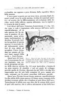giornale/CFI0440930/1929/v.1/00000063