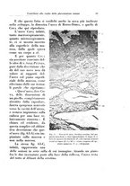 giornale/CFI0440930/1929/v.1/00000065