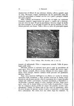 giornale/CFI0440930/1929/v.2/00000074