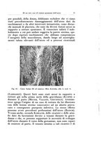 giornale/CFI0440930/1929/v.2/00000081