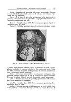 giornale/CFI0440930/1929/v.2/00000131