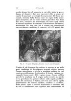 giornale/CFI0440930/1929/v.2/00000162