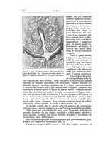 giornale/CFI0440930/1929/v.2/00000216