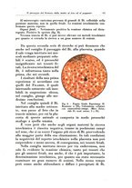 giornale/CFI0440930/1929/v.2/00000419