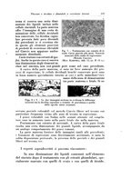 giornale/CFI0440930/1929/v.2/00000437