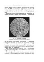 giornale/CFI0440930/1929/v.2/00000585
