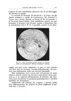 giornale/CFI0440930/1929/v.2/00000593