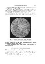 giornale/CFI0440930/1929/v.2/00000597