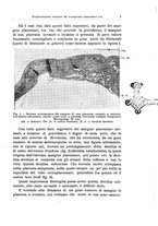 giornale/CFI0440930/1930/unico/00000009