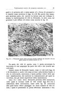 giornale/CFI0440930/1930/unico/00000051