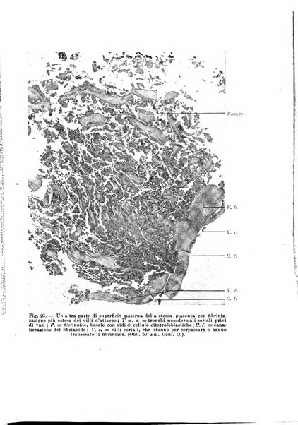 Rivista italiana di ginecologia pubblicazione bimestrale