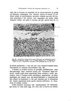 giornale/CFI0440930/1930/unico/00000061