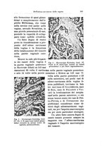 giornale/CFI0440930/1930/unico/00000619