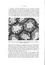 giornale/CFI0440930/1931-1932/unico/00000020